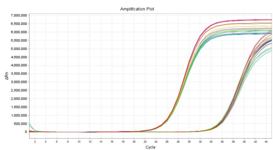 精密度和靈敏度相關數(shù)據(jù)