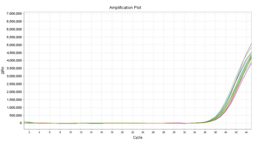 精密度和靈敏度相關數(shù)據(jù)